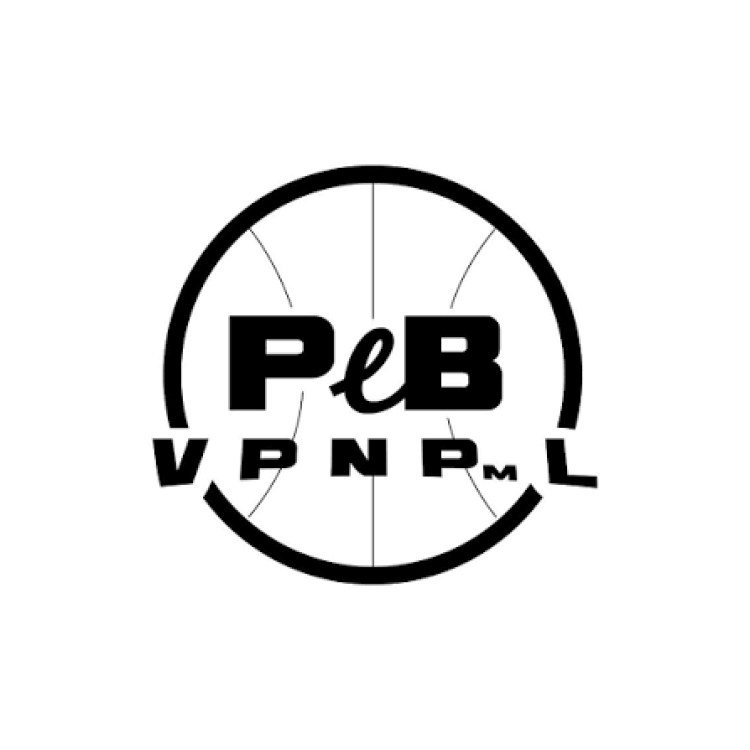 LOGO NERVIANO BASKET M 
