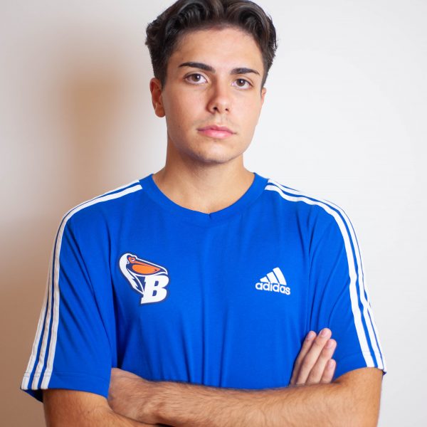Carlo Feruglio