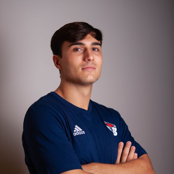 della gatta Tommaso