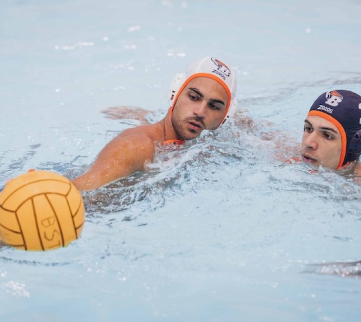 PALLANUOTO