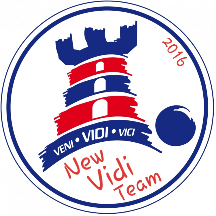 New Vidi Team
