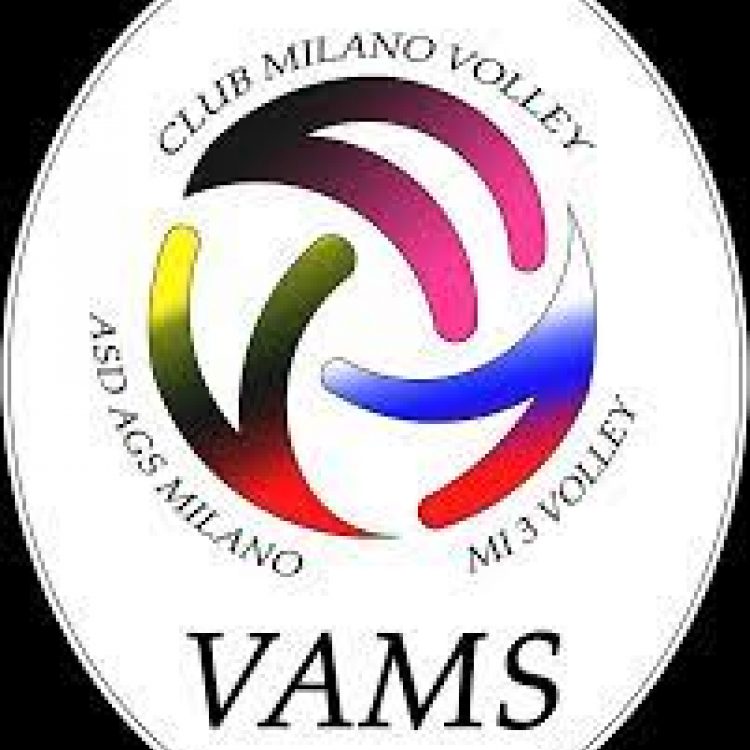 VAMS