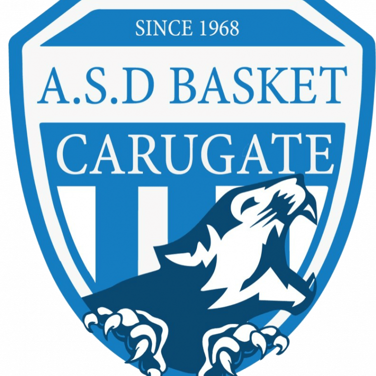 BASKET CARUGATE