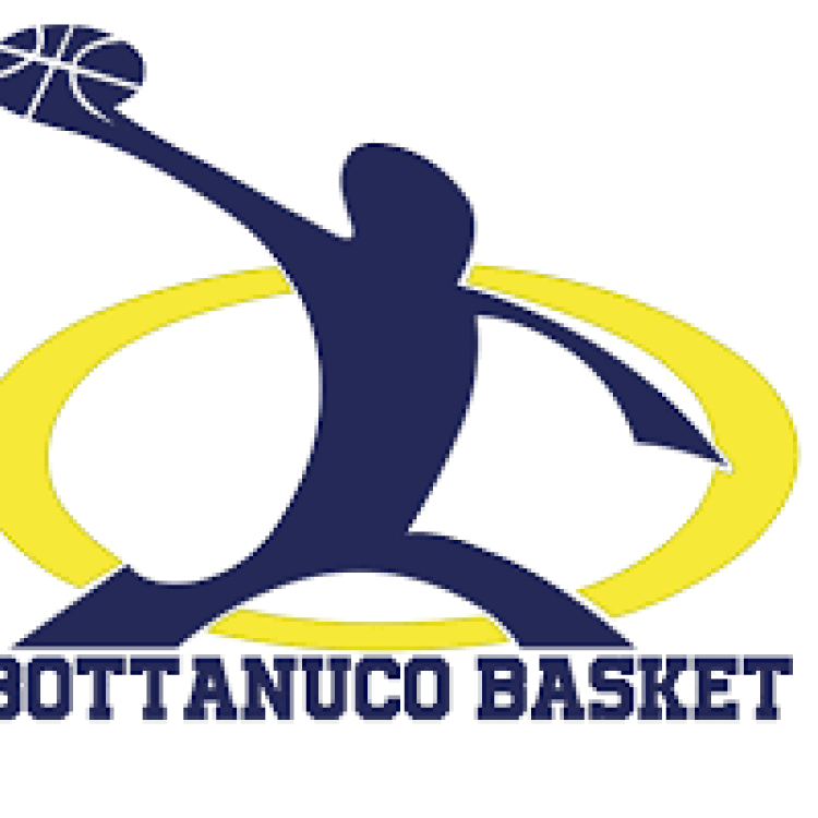 Bottanuco basket